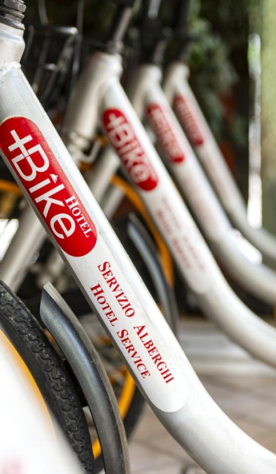 Biciclette del servizio alberghiero pronte per l'uso, con logo rosso su sfondo bianco.