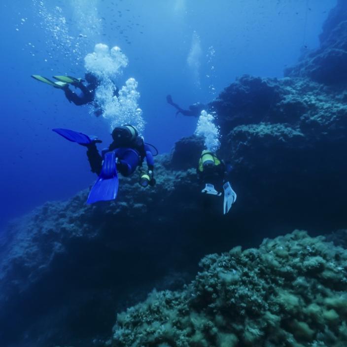 Subacquei esplorano un reef sottomarino, circondati da pesci e bolle d'aria.